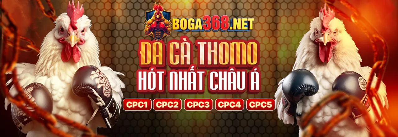 Đá Gà Trực Tuyến VN588