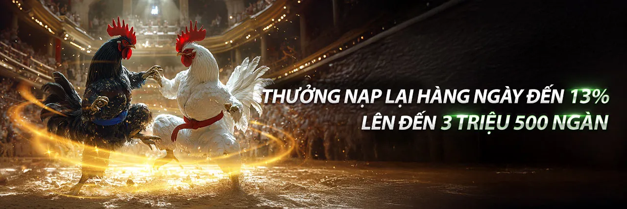Hình ảnh chính tải VN588